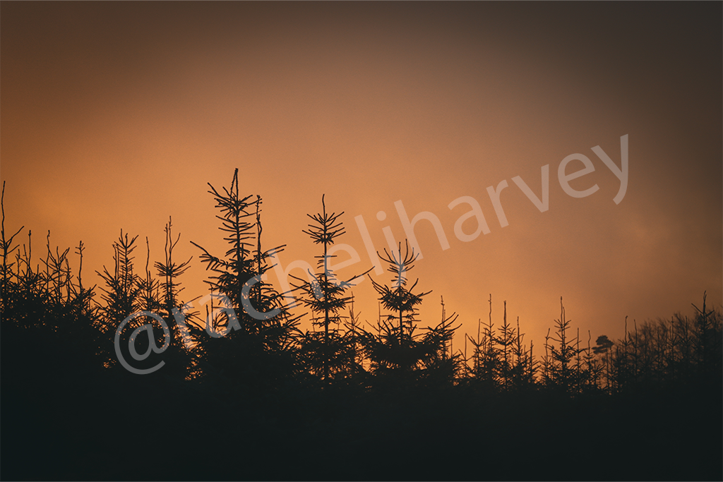 Red sky in the morning