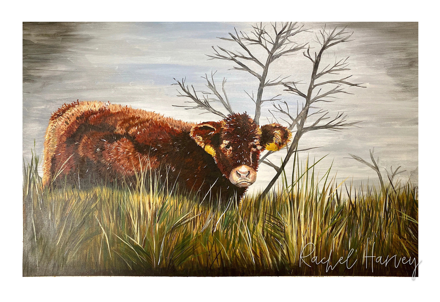 Borrowdale Calf Painting