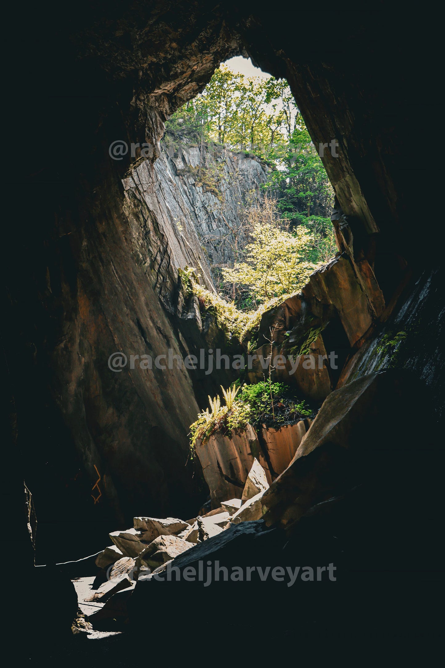 Cathedral Caves